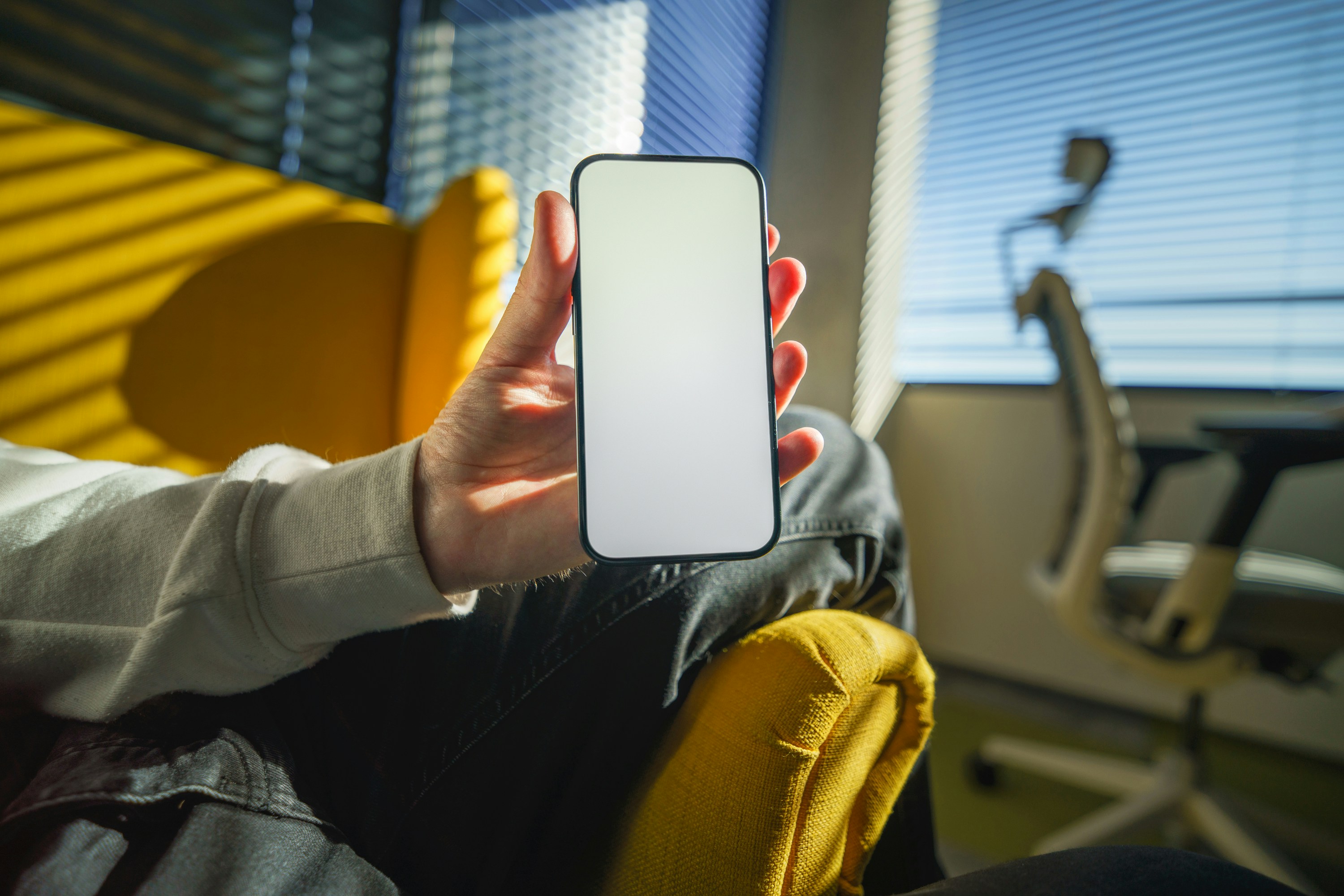 Mobile application interface on a smartphone