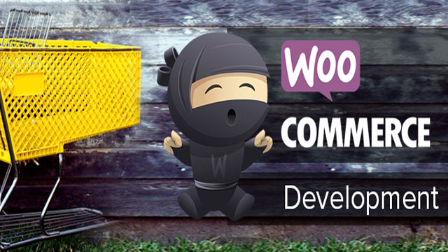woocommerce development customization